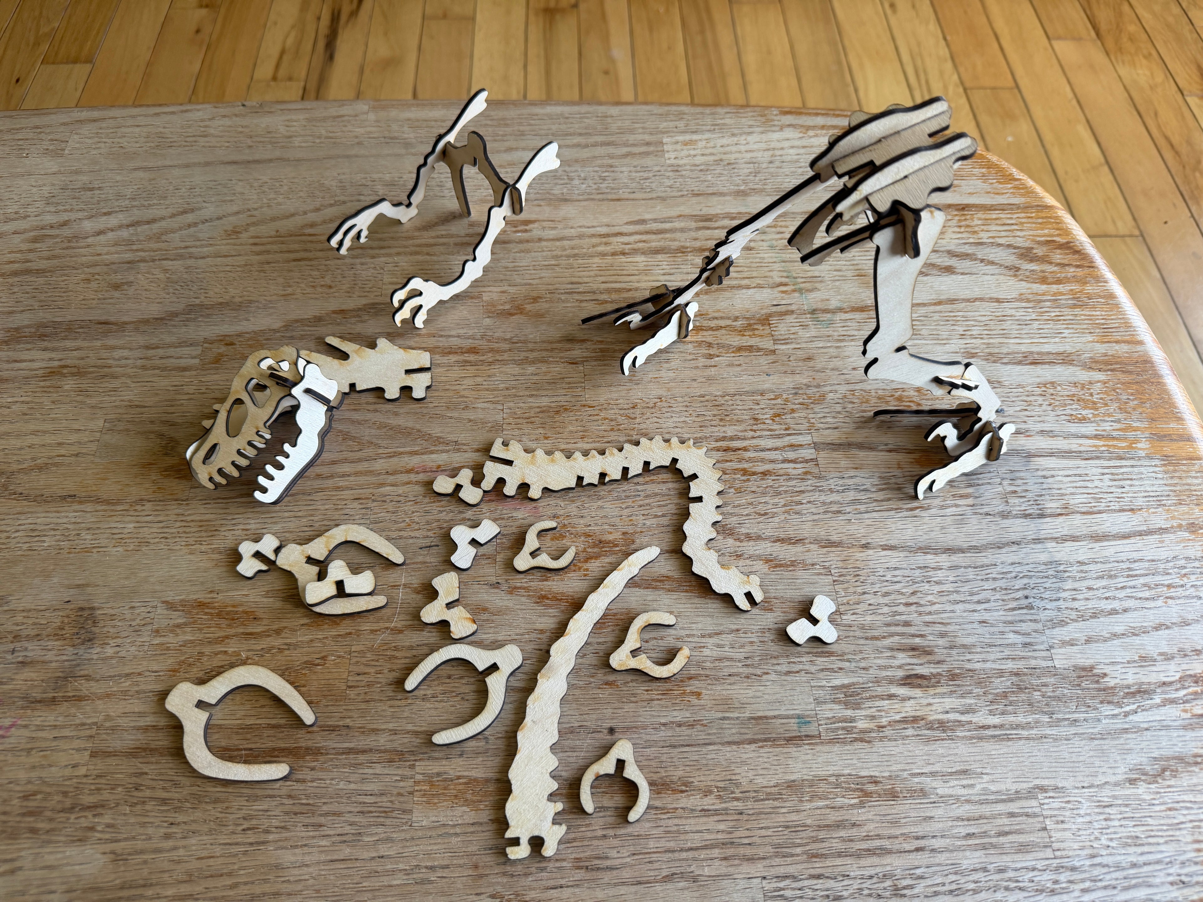 Laser-cut wooden dinosaur skeleton puzzle pieces on a rustic table