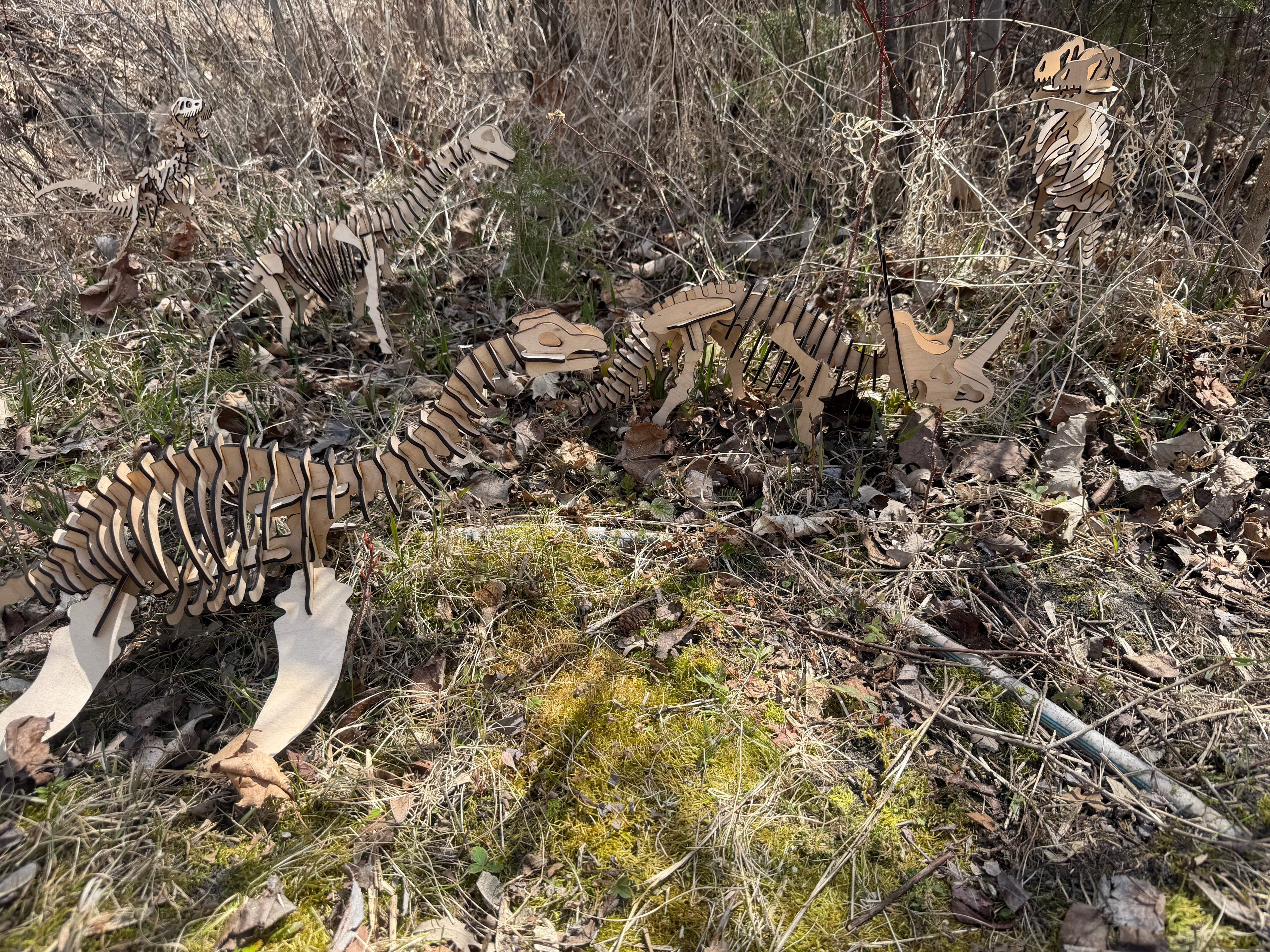 Handcrafted wooden dinosaur skeletons in a forest setting, showcasing layered wood art.